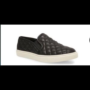 COPY - Steve Madden Black ECENTRCQ Slip Ons